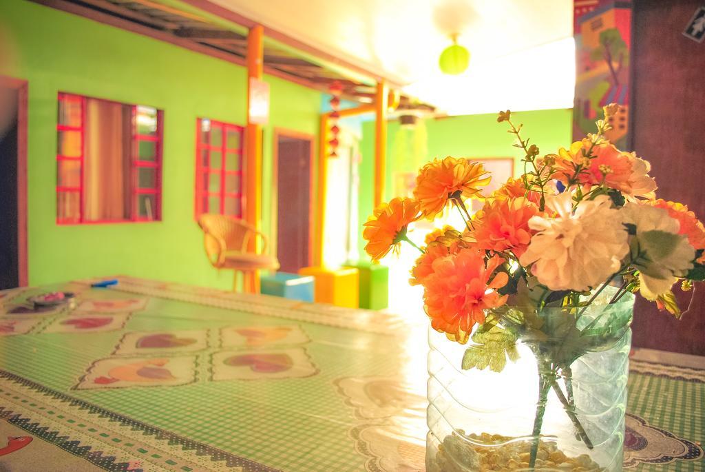 Albergue Greenhouse Camboriu